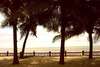 The Regent Cha-Am Beach Resort 